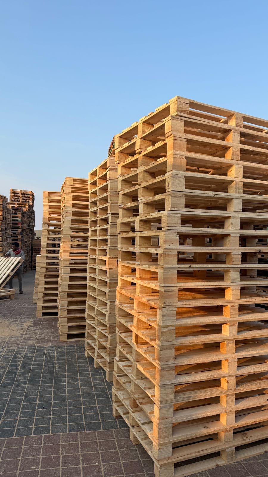 Rows of newly manufactured wooden pallets stacked in the yard at golden hour