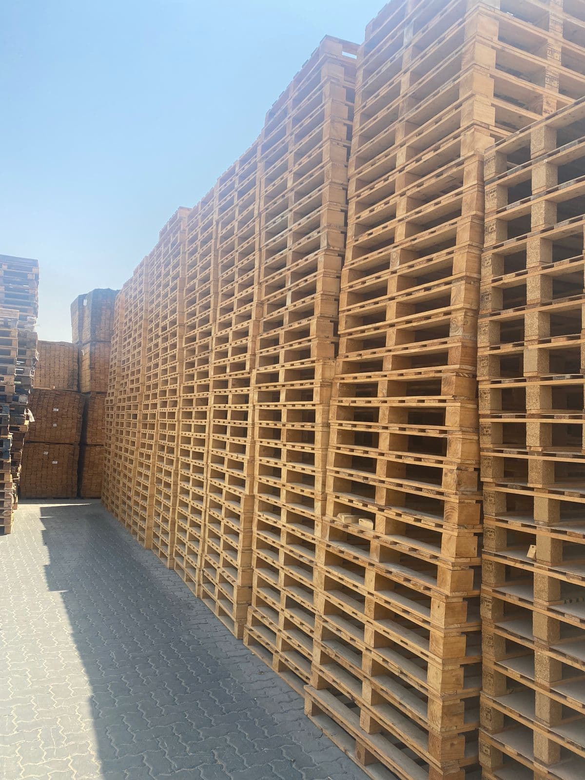 Wall of stacked wooden pallets at the Khan Pallets yard in Sharjah